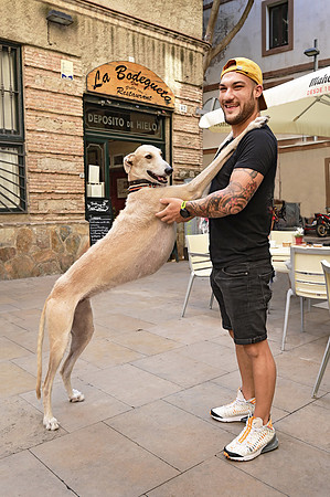 Barca Dog
